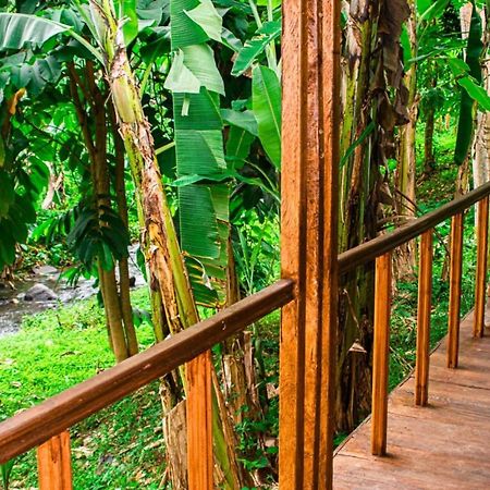 Eco-Por Villa Rio do Ouro Екстериор снимка
