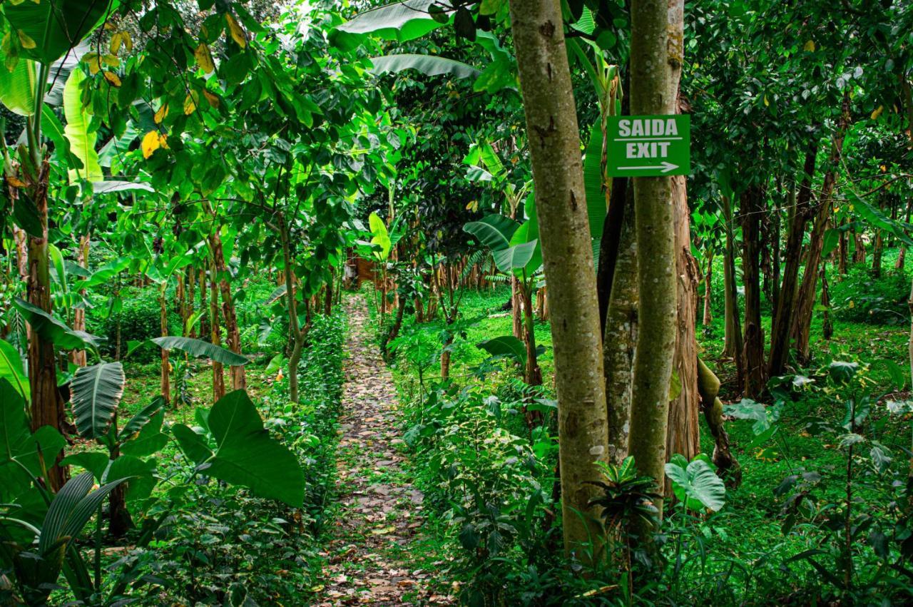 Eco-Por Villa Rio do Ouro Екстериор снимка