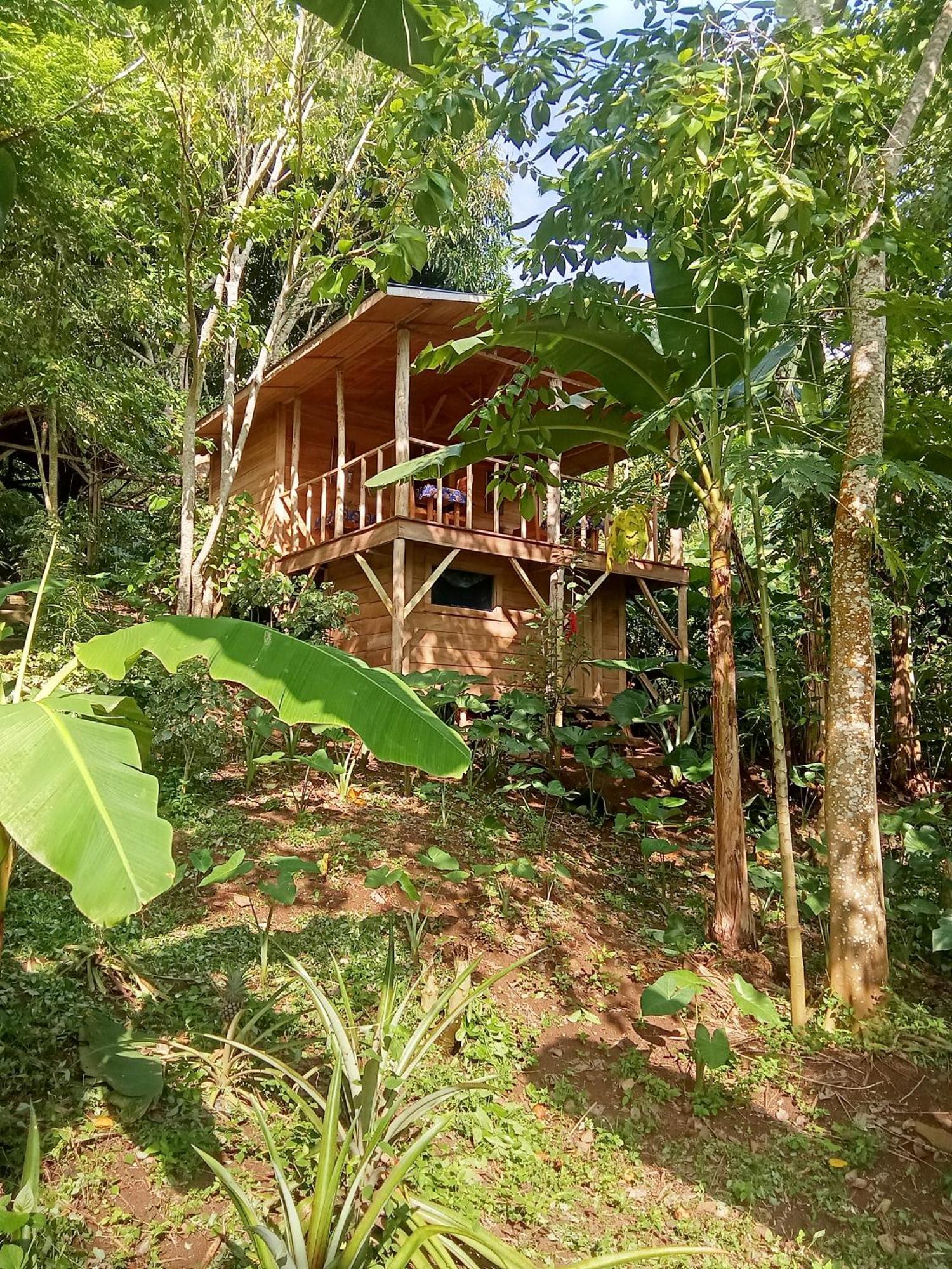 Eco-Por Villa Rio do Ouro Екстериор снимка